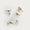 Handle 3143 | Organic Glass + Brass